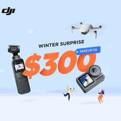 Collection image for: DJI Winter Sale