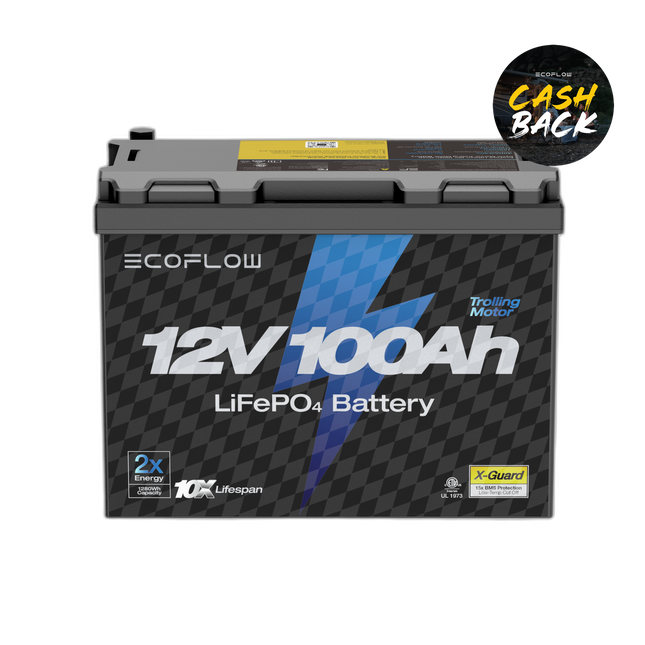 EcoFlow Lithium 12V 100Ah Deep Cycle LiFePO4 Battery