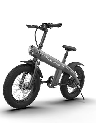 MEARTH Platypus 2024 | Electric Bike - Actiontech