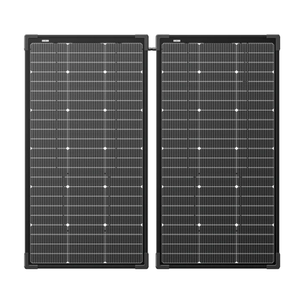EcoFlow 125W Bifacial Modular Solar Panel x 2